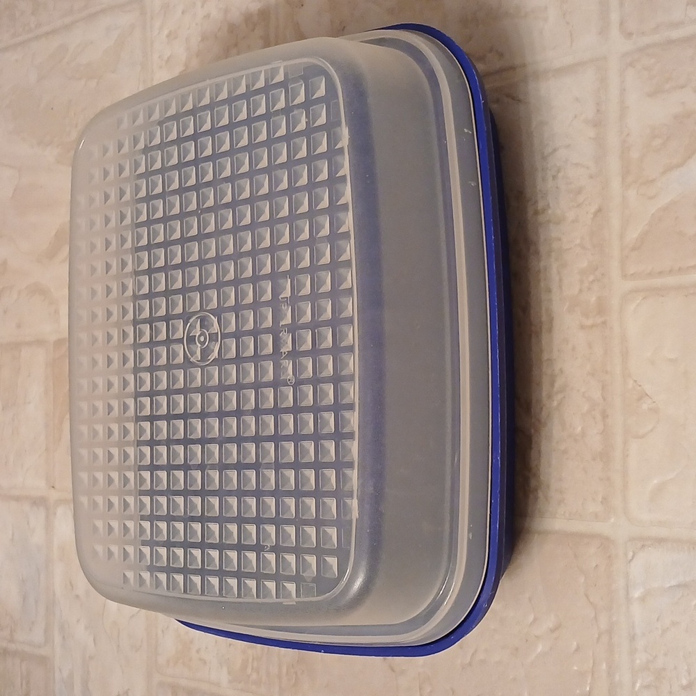 Tupperware Season Serve Blue, Clear Meat Marinating Food Storage Container